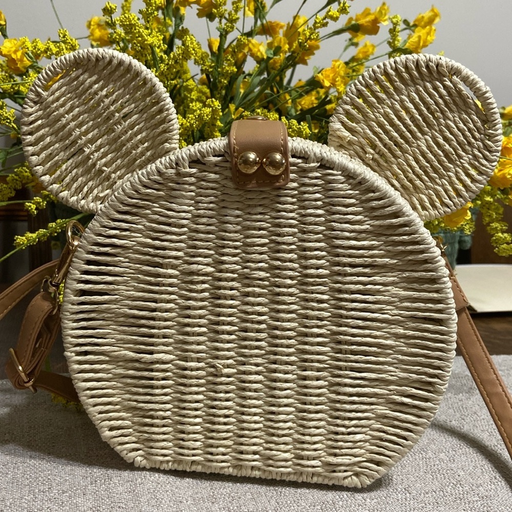 Disney crossbody bag NWOT